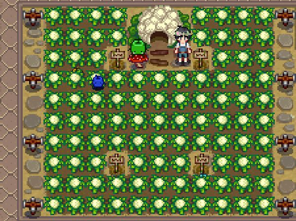 Stardew Valley おすすめmod一覧 導入方法の詳しい解説付き 人形は四畳半で夢をみる